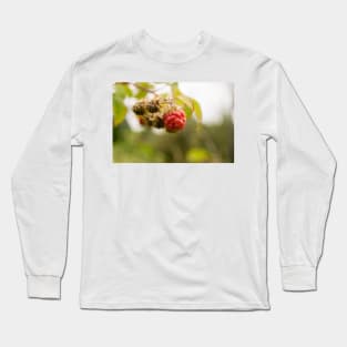 blb red raspberry Long Sleeve T-Shirt